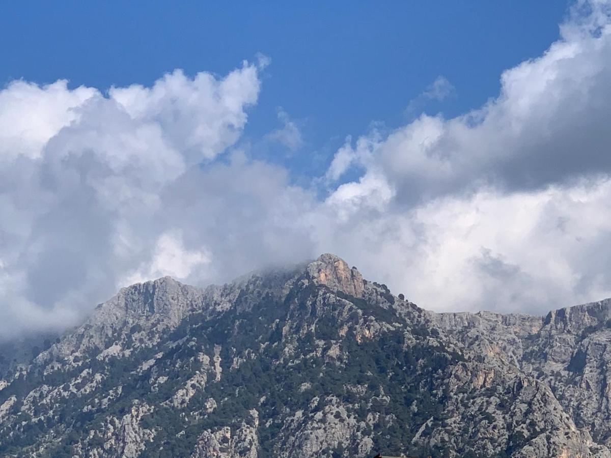 Hotel Casa Bougainvillea Sóller Dış mekan fotoğraf